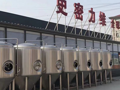 始兴精酿啤酒设备厂—市场规模与跨界新需求